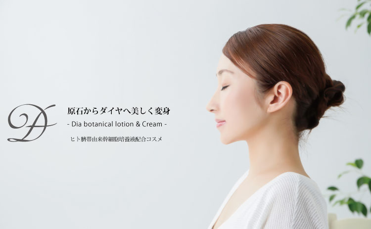 製品情報